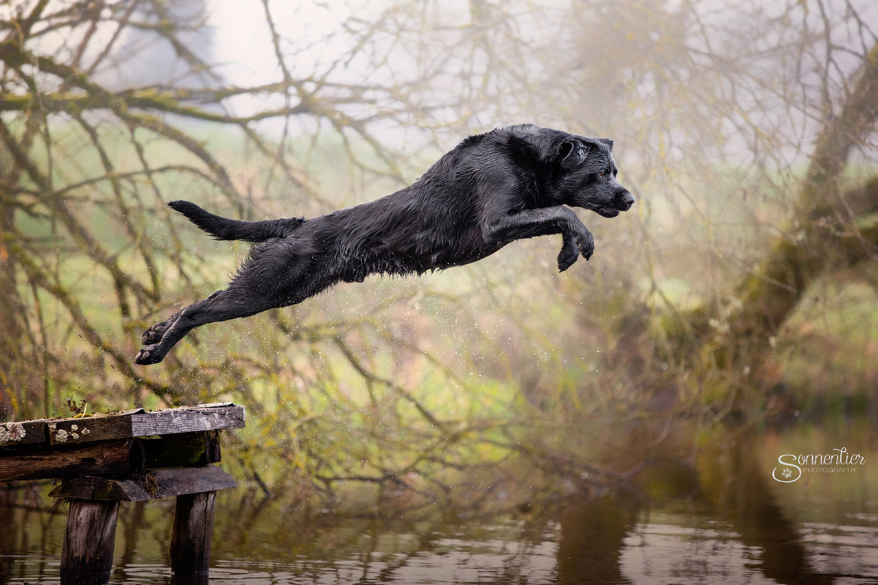 Quelle: Sonnentier Photography