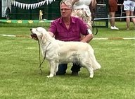 Detailanzeige