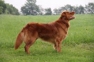 Detailanzeige