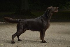 Foto-Anzeige