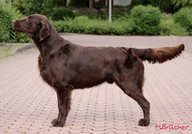 Foto-Anzeige