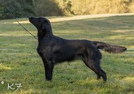 Foto-Anzeige