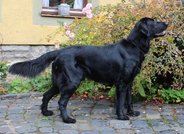 Detailanzeige
