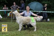 Foto-Anzeige