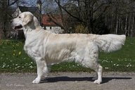 Foto-Anzeige