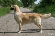 Foto-Anzeige