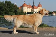 Foto-Anzeige