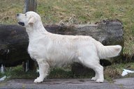 Foto-Anzeige