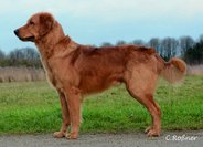 Foto-Anzeige