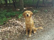 Foto-Anzeige