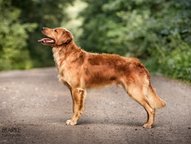 Foto-Anzeige