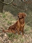 Foto-Anzeige