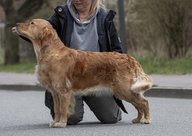 Foto-Anzeige