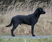 Foto-Anzeige