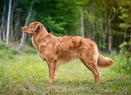 Foto-Anzeige